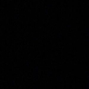 Meet your Posher, Logan